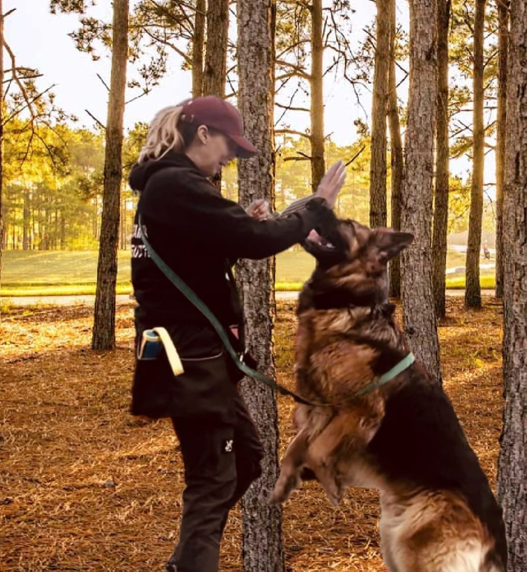 dog-training-barnsley